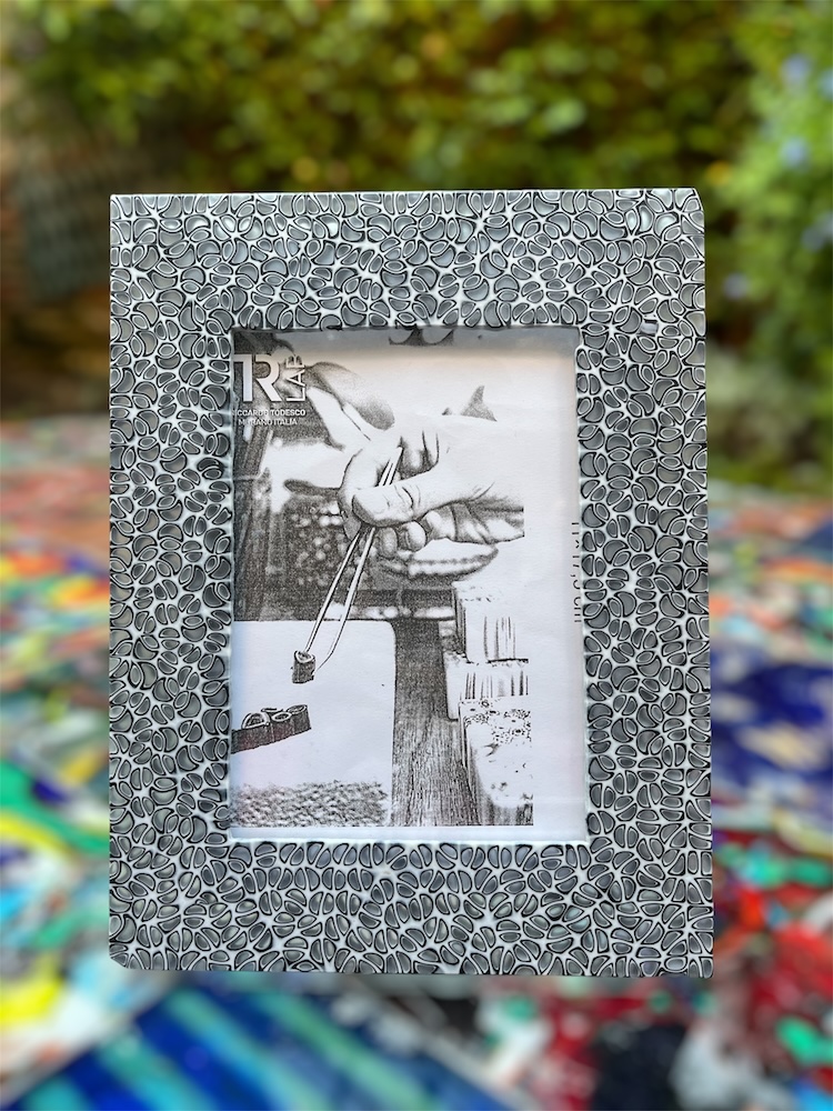Tao murrina frame